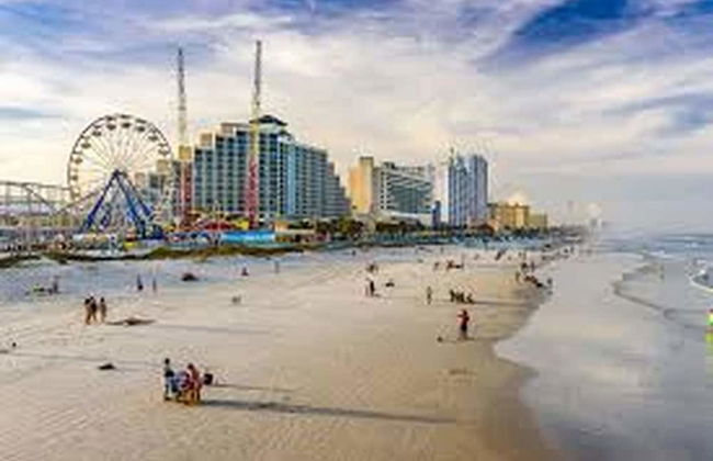 Modern Atrium Drive Condo - Photo 10
