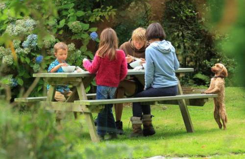 Rhydyfantwn Fach Cottage, Cardigan - Foto 20