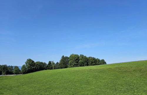 Gästehaus Kling - Foto 31