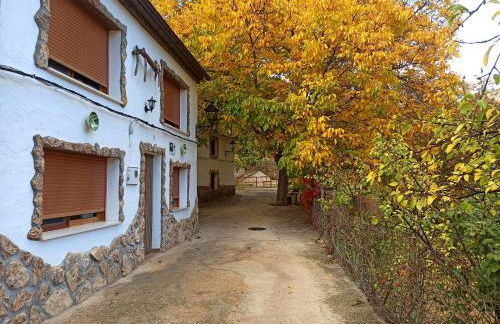 Cortijo Ramon Petra - Foto 33