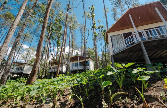 La Pino Mount Batur and Hot Spring - Foto 28