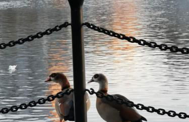 Riverside 1BR with Easy Transport 20min to City Centre - Photo 37