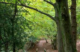 Amos Lodge Deluxe Accommodation - Photo 40