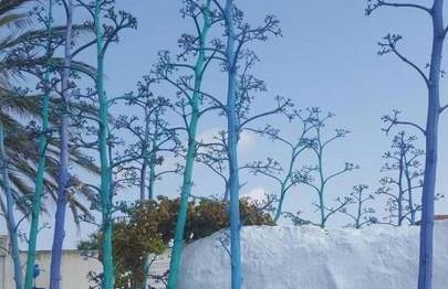 Casa Bartolo - Foto 17