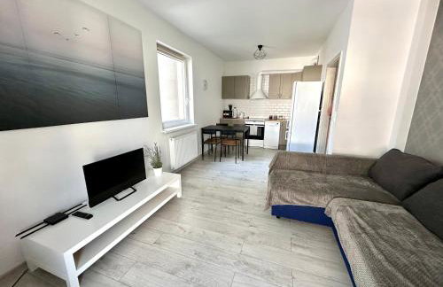 SDH 1 Wolomin comfortable apartment near Warsaw - Foto 1