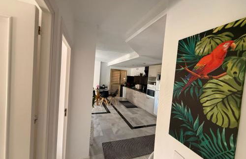 Playa Dona Sofia Bella - Photo 4