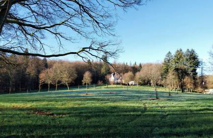 Forsthaus Hausbach - Ferienwohnung Hirsch - Foto 24