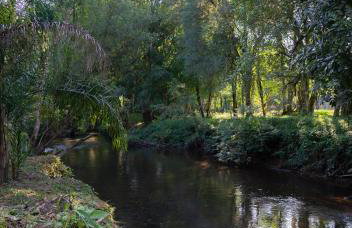 Chalé Nosso Paraiso RV Rio Cristalino e Lago - Foto 11