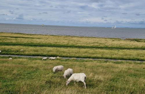 Wellenbude - Foto 29