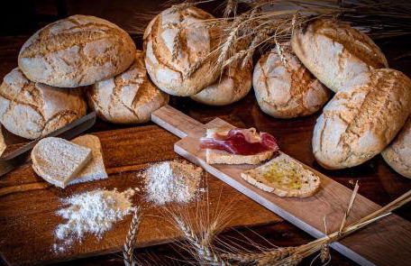 Agriturismo Terra di Michelangelo - Foto 107