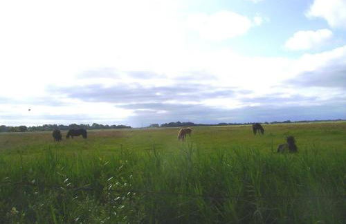Ferienwohnung Lumme - Foto 7