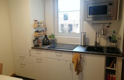 Kleine Galerie Apartment für 3 mit Küche Kamin Netflix Parken und Hofladen - Foto 15