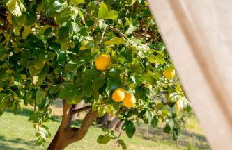 La casa di Ernino - Foto 21