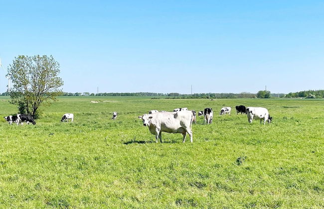 6 Person Holiday Home in Kattarp - Foto 16