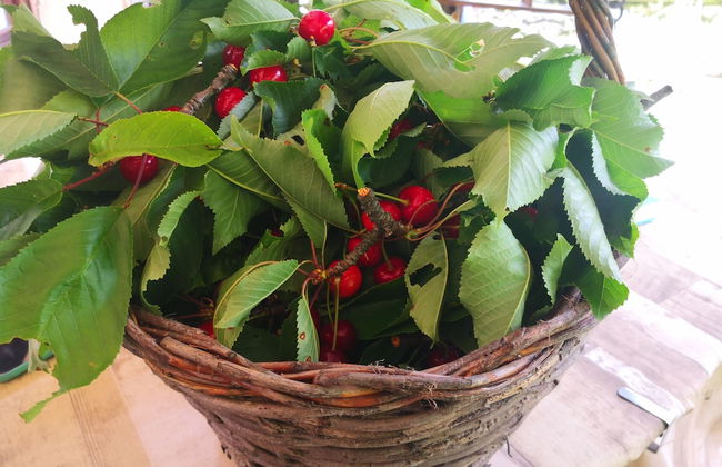 La Mandra - Photo 32