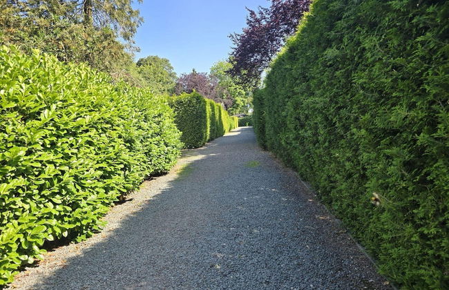 Home in the Dancing Forest - Foto 33