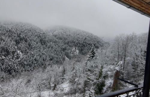 ELATALIA Plastira Lake - Photo 11