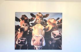 Heimatliebe Neuried 20 Min zum Europa-Park - Foto 18