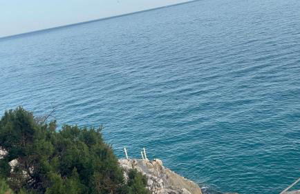 villa shulman - Foto 44