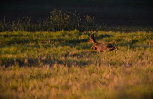 Gîte de Bena - Foto 23
