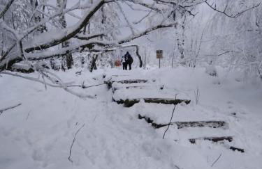 Haus Kellerwald - Ferienwohnung Kellerwald-Edersee - Foto 28