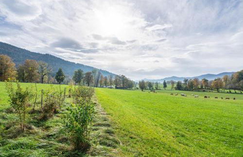 Tegernseele - Foto 23