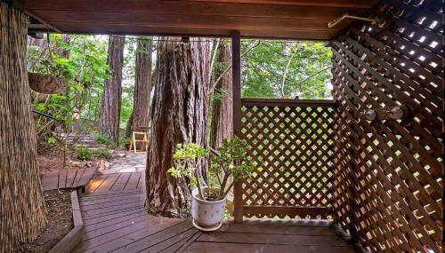 Gorgeous Garden-Level Guest Suite for a Comfortable Getaway Surrounded by Nature in Rio Nido, California - Foto 3