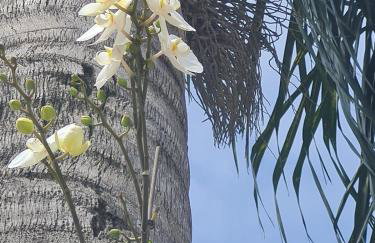 Entre praias e Beto Carrero, refúgio! - Photo 53