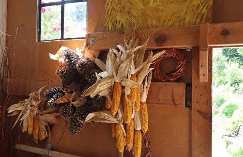 Rustic-style Apartment in Buschenhagen With Garden - Foto 85