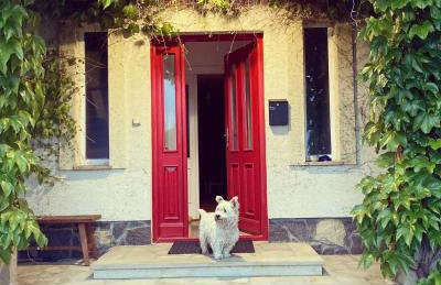 Stasiówka Gospodarstwo Agroturystyczne - Foto 19