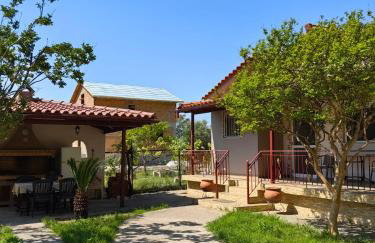 Emis House Krioneri - Photo 3