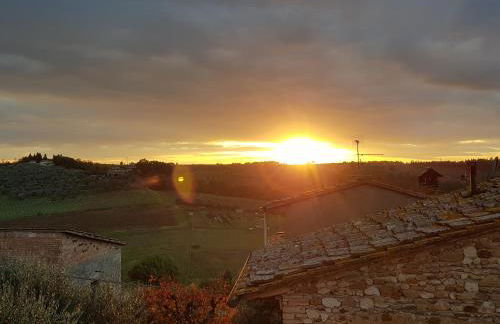 Sweet in Chianti - Foto 18