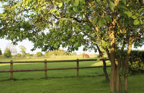 The Jockey Room Hideaway - Foto 20