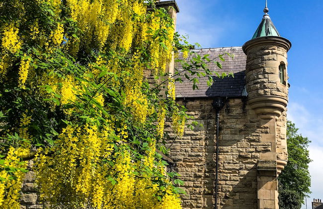 The Five Turrets: Stay in Scotland in Style in a Historic Four-bed Holiday Home - Foto 74