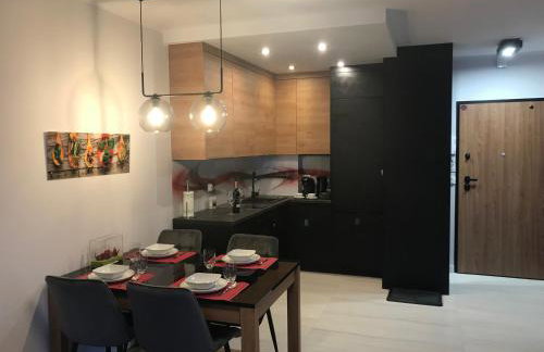 APARTAMENT D-7 W OBIEKCIE NAUTIKKA PARK - Foto 6