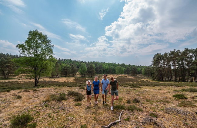 Nice Chalet in a Holiday Park, Adjacent to the Hoge Veluwe National Park - Foto 20