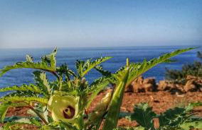 Villa Neli II - Photo 18