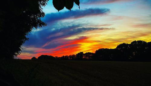Ferienhaus Villa Vogelsang (Schlei / Ostsee) - Foto 4