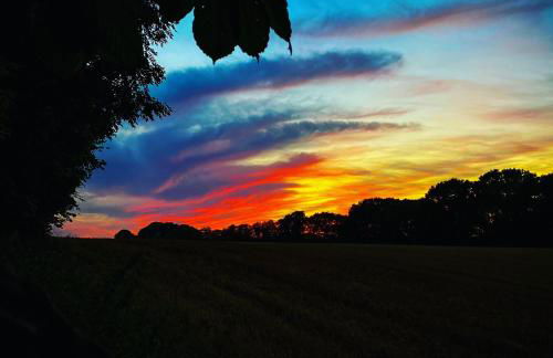 Ferienhaus Villa Vogelsang (Schlei / Ostsee) - Foto 4