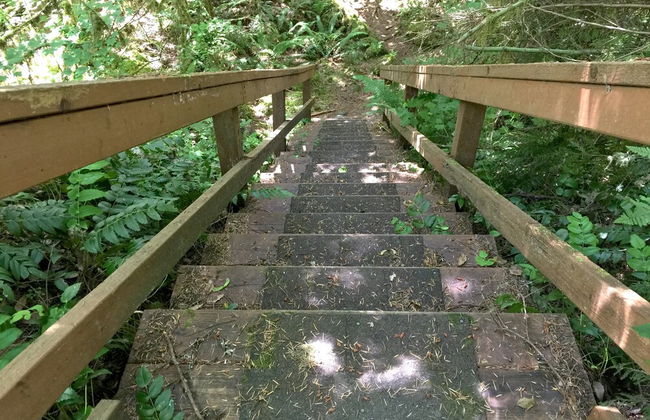 53MBR - Hot Tub - Wi-Fi - Sleeps 6 - Foto 16