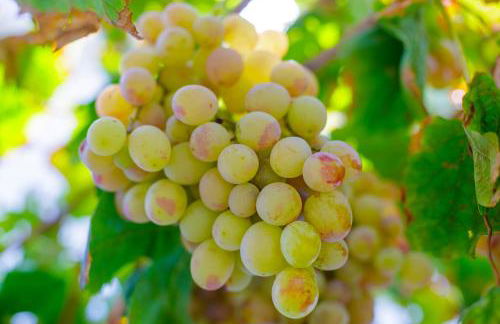 Alethea's Sea View Apartment - Foto 74