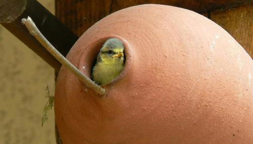 Charmant cocon, jardin, aux portes de Verneuil - Foto 4