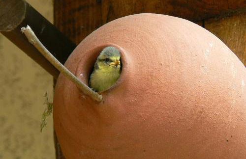 Charmant cocon, jardin, aux portes de Verneuil - Foto 4