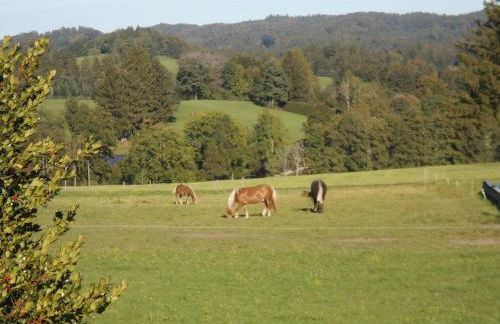 Ferienwohnung Schwaiger - Foto 11