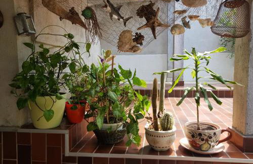 Apartman Mihaela - Photo 19