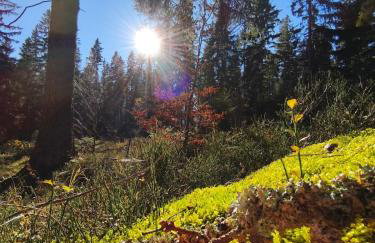 Apartament Górski Widok - Foto 59