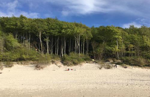 RAJSKA PLAZA Poddąbie Basen odkryty brodziki Basen kryty Plac zabaw Animacje - Foto 55