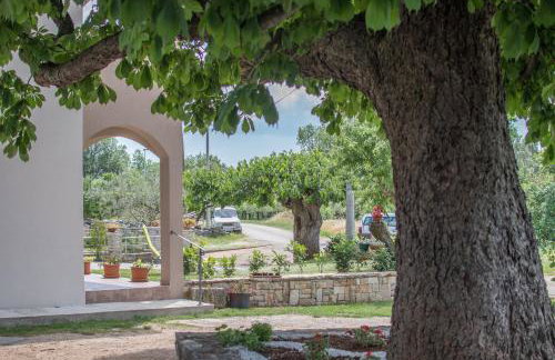 Apartment stari kesten - Photo 49