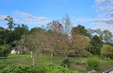 Le nid de l'écureuil - Foto 14