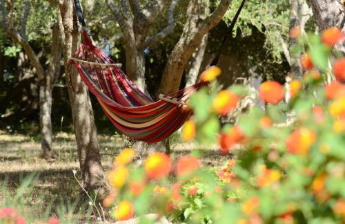 Finca Katia - Photo 4